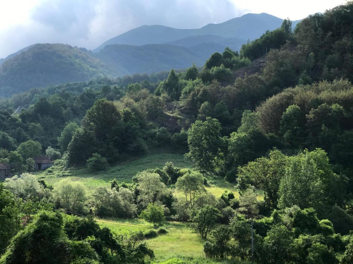 Aphrodite Hills Apartments-Stara Planina Crni Vrh Esterno foto