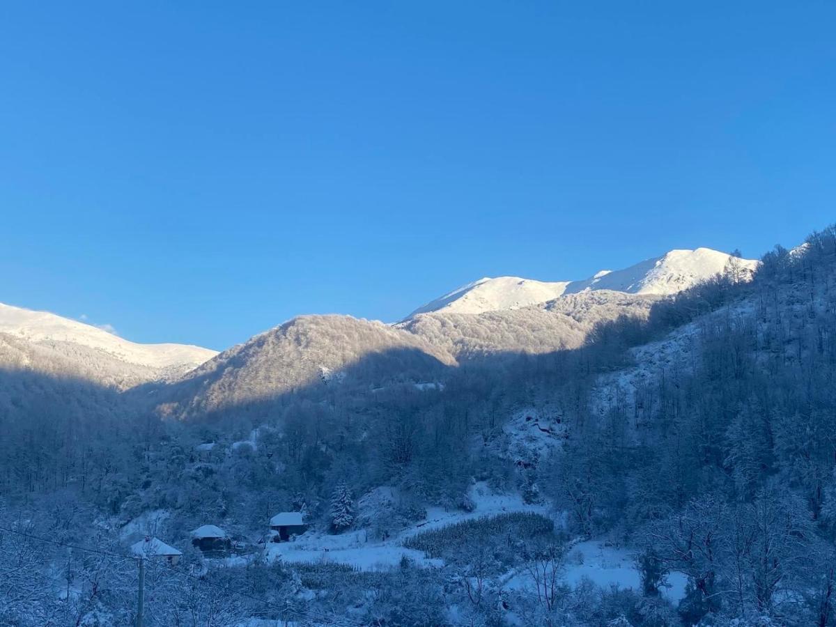 Aphrodite Hills Apartments-Stara Planina Crni Vrh Esterno foto