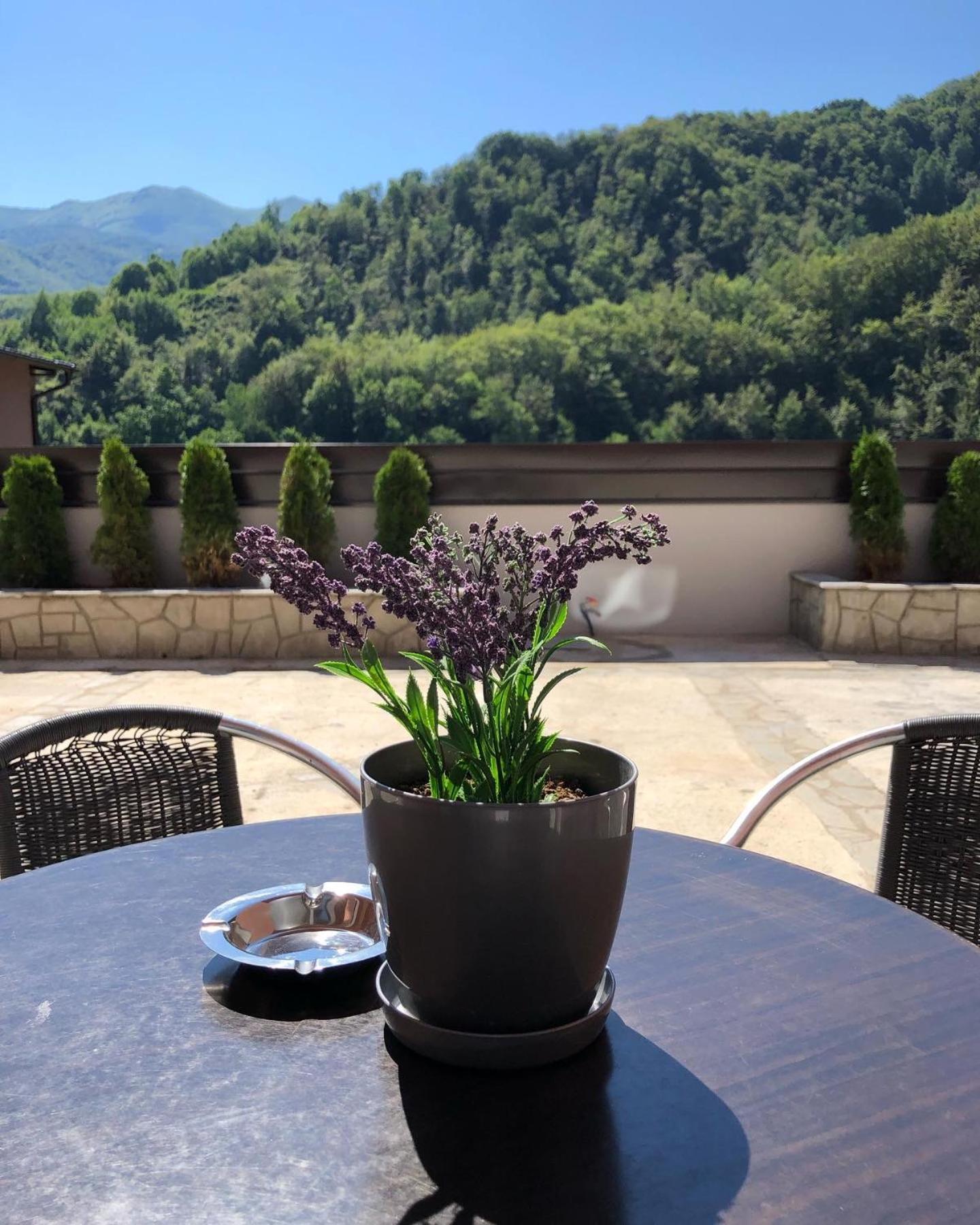 Aphrodite Hills Apartments-Stara Planina Crni Vrh Esterno foto